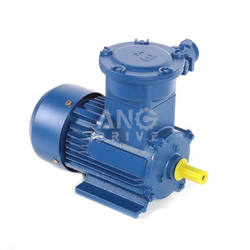 Anti Explosion Proof Electrical Engine High Low Voltage Flameproof China Manufacturer Price AC Electric Motor