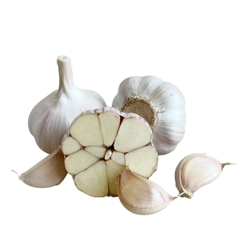 Farm Garlic: Red and White Varieties - Freshness and Quality You Can Trust