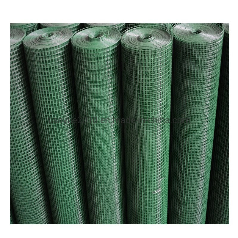 China Manufacture Building Material Electro Galvanized Welded Wire Mesh (TYB-0074)