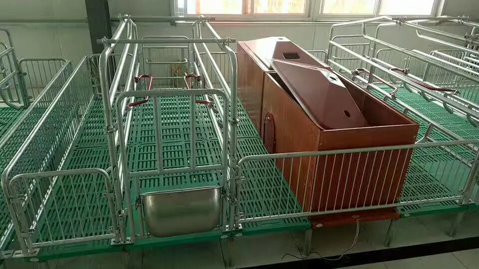 European-Style Sow Cage Farrowing Crates Pig Breeding and Nursing Crates with Feeders