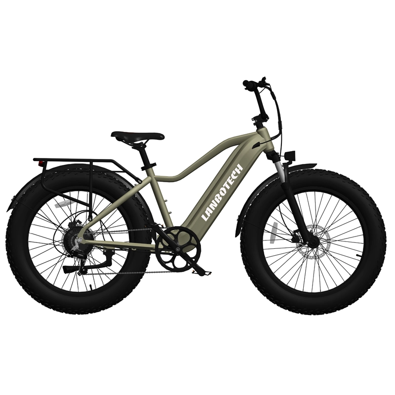 2021 New Design Step Through Fat Tire Electric Bike 5% Discount