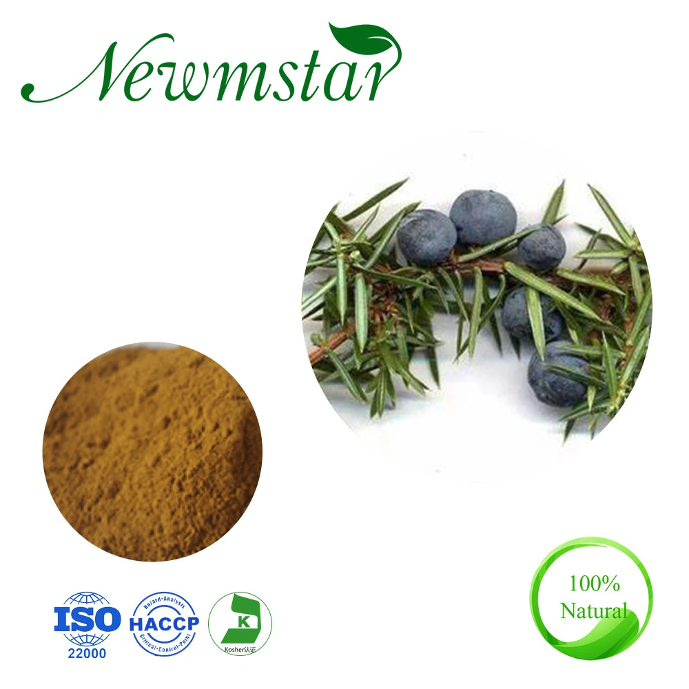 Extrait naturel de fines herbes / 4: 1~20: 1 poudre de Juniperus communis / extrait de graines de genévrier de Maltodextrine à 20%