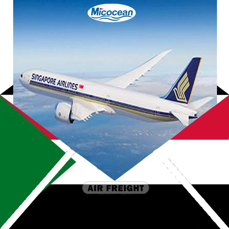 Reliable Cheap and Professional Air Freight From China to Sudan with DDP DDU