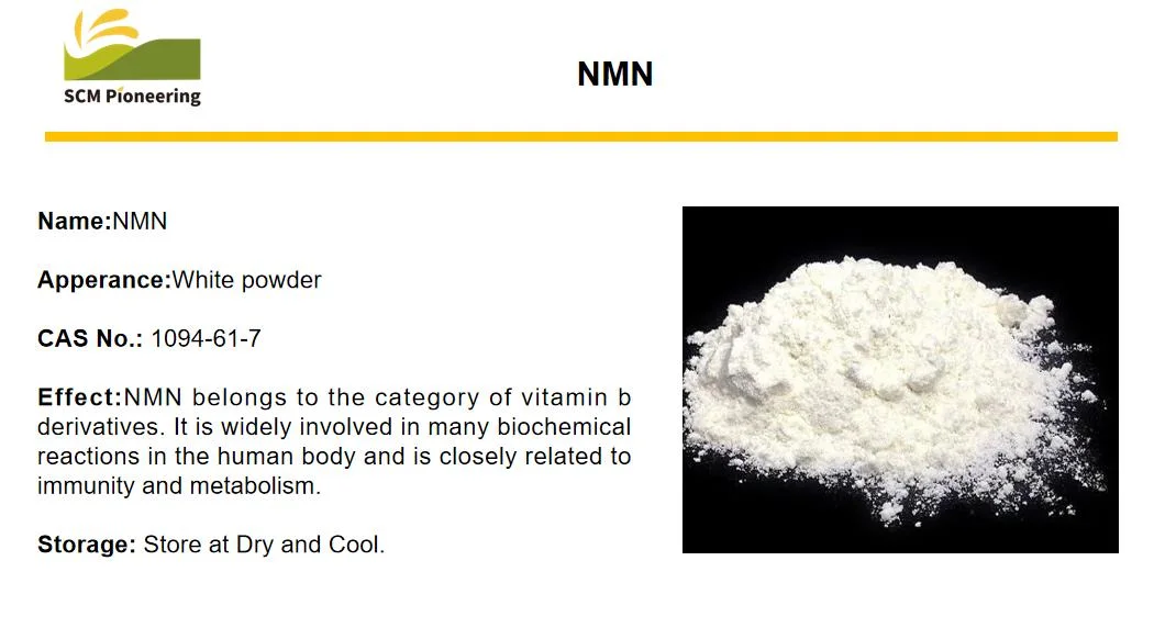 Wholesale/Supplier Beta-Nicotinamide Anti Envejecimiento de la nicotinamida Riboside Mononucleotide Nmn/polvo de cloruro de CAS 1094-61-7 Nmn