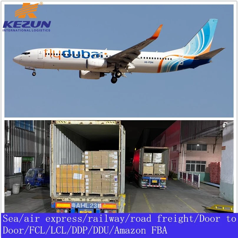 Dongguan Freight Forwarder Sea Freight Shipping Company From China to UK France DDP