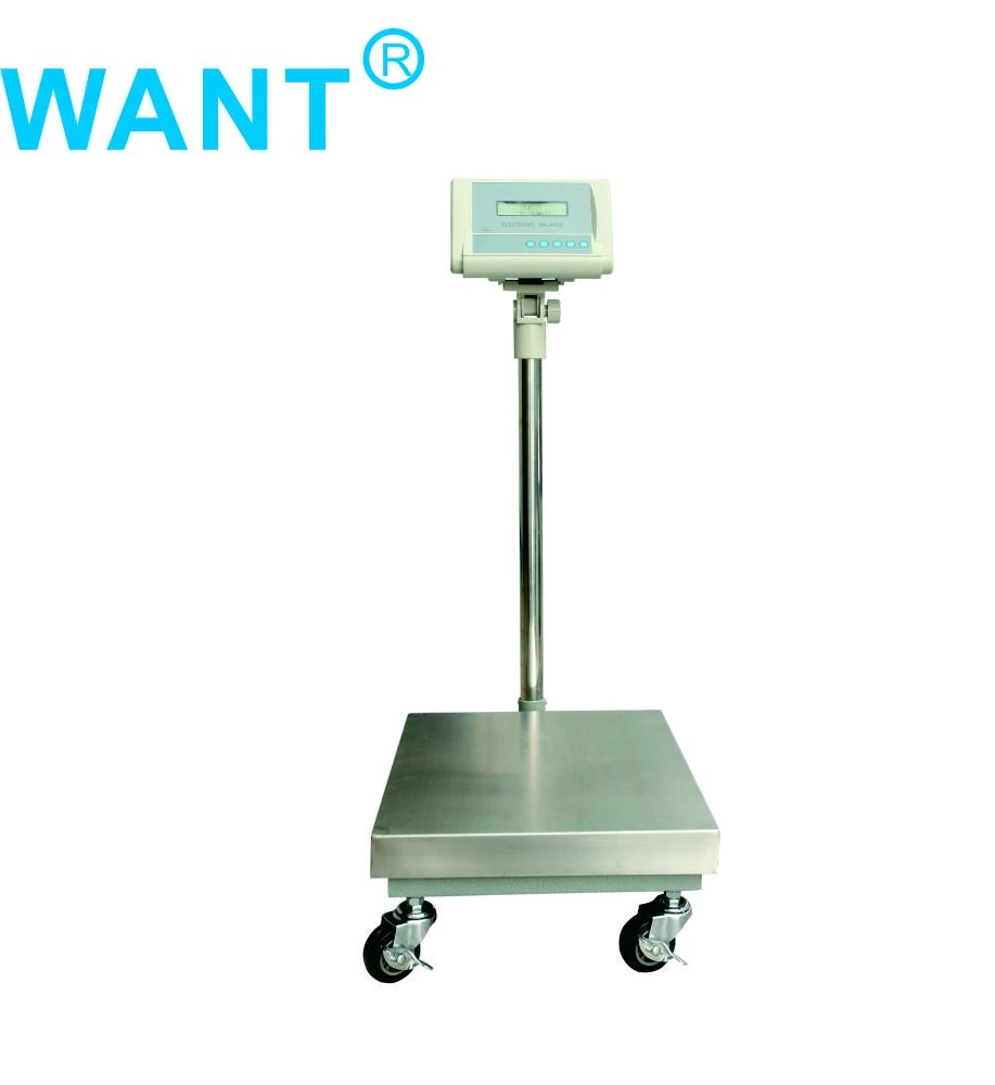 100g Accuracy and AC/DC Power Supply Platform Weighing Scale