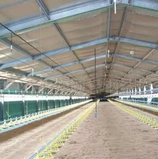 Factory Galvanized Manufacturing and Processing of Steel Poultry Houses