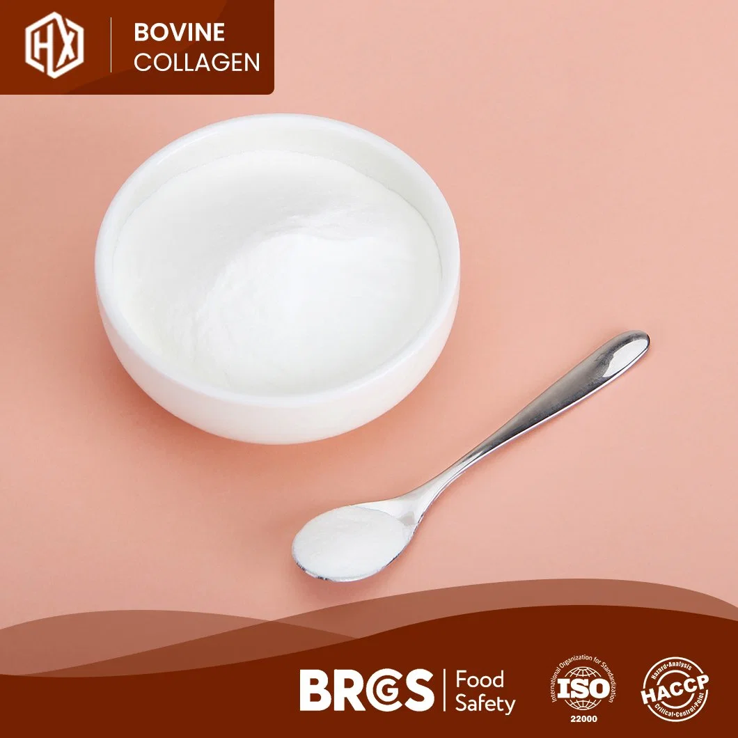 Haoxiang Wholesale/Supplier Trade Bovine Hides Collagen Ingredients High-Quality Bovine Hide Collagen Peptides China Supplier Free Sample Flavoured Collagen Powder