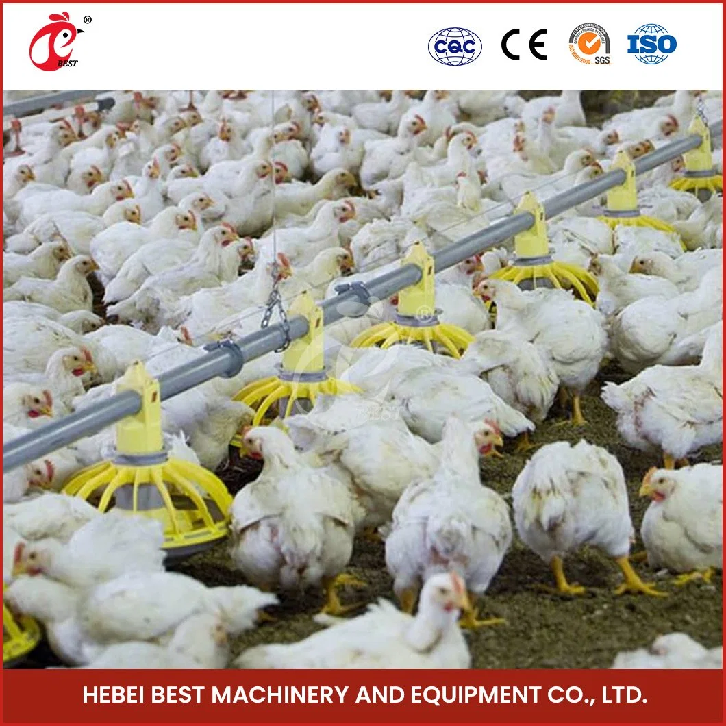 Bestchickencage Broiler Deep Litter System Sample Available China Easy Installation Feature Broiler Poultry Farming Deep Litter System Manufacturer