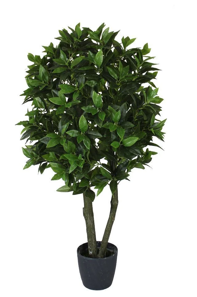 Evergreen Chinese Topiary Plant for Decoration