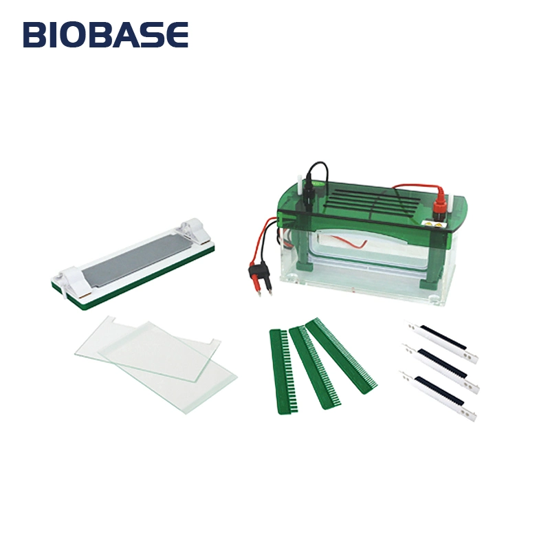 Biobase Vertical Abundant Buffer Electrophoresis Tank Et-V2 for Protein Samples in Life Science Research.