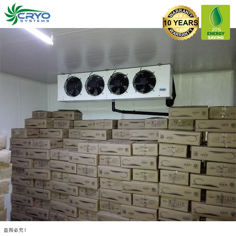 Beef Cow Mexican Hass Avocado Warehouse Coolers and Freezers Buy Walk in Cooler Cold Storage Head Office