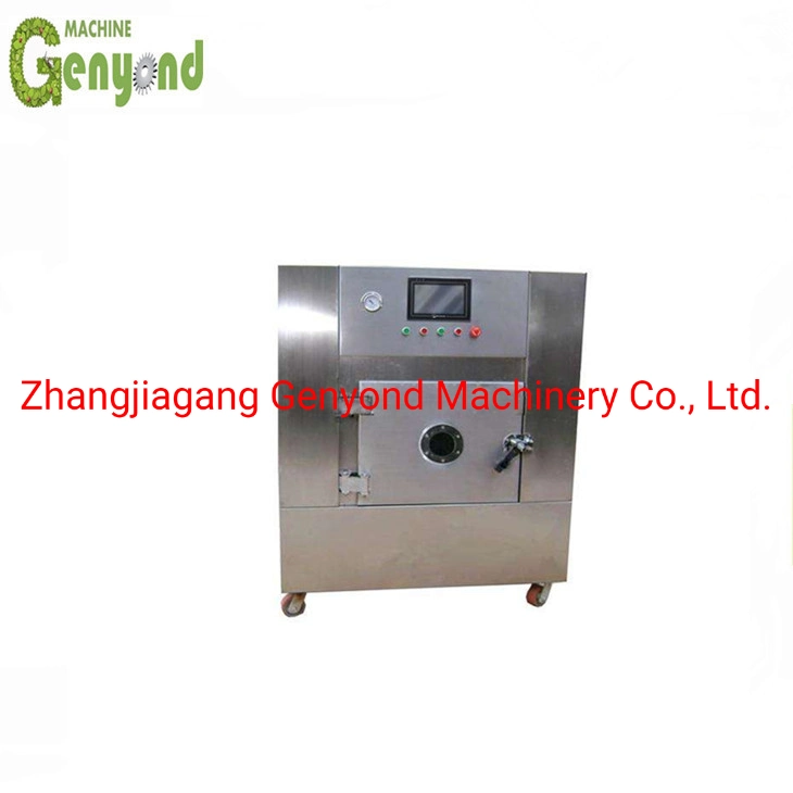 Factory Small Fruit & Vegetable Medicine Pharmaceutical Vacuum Lyophilizer Freeze Drying Equipment Machine Dryer