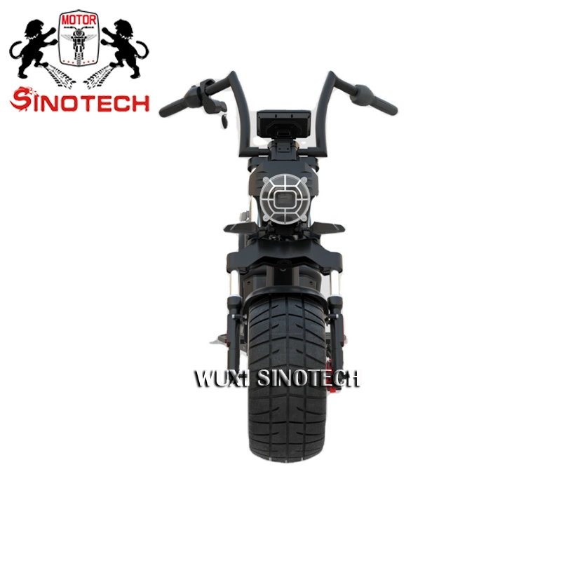 Made in China Moto Electrica 1000W Electric Dirt Bike