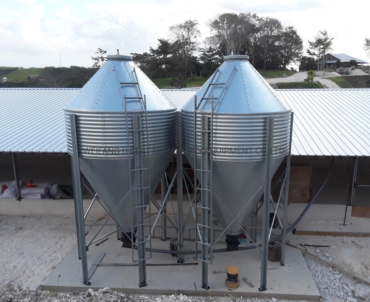 Diseño moderno estructura de acero hecho a punto Broiler Pollo aves Granja Cobertizo de la casa