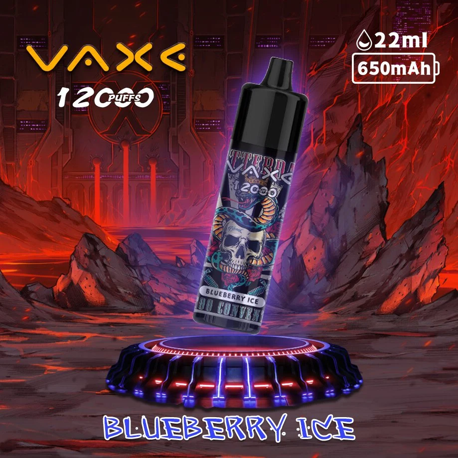 VAPE Pen Hookah Wholesale/Supplier VAPE Vaxe 12000 Puffs 10000 Disposable/Chargeable Electronic Cigarette E-CIGS Cargador