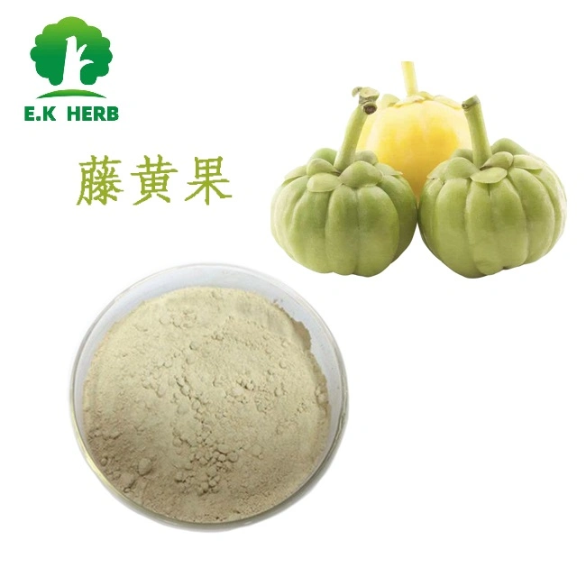 E. K Herb China líder fábrica 100% Natural Garcinia Cambodia Extract Weight Loss Hydroxy cítrico Acid (HCA) pó orgânico Garcinia Cambodia Extract