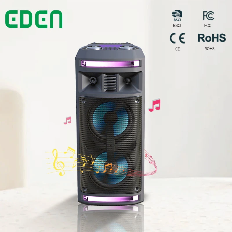 Haut-parleur audio Bluetooth avec LED double 6,5 pouces, boîte de son DJ portable sans fil PA Party Karaoke, haut-parleur multimédia rechargeable de 5W ED-606
