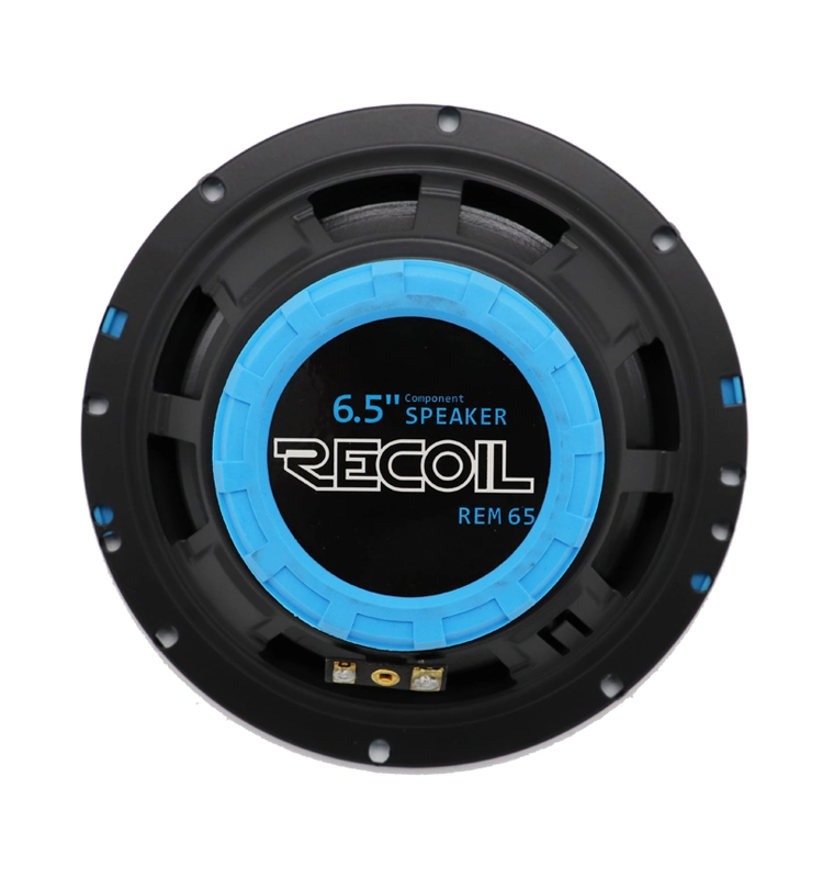 Edge Rem65 Echo Series 6.5-Inch Car Audio Component Speaker System