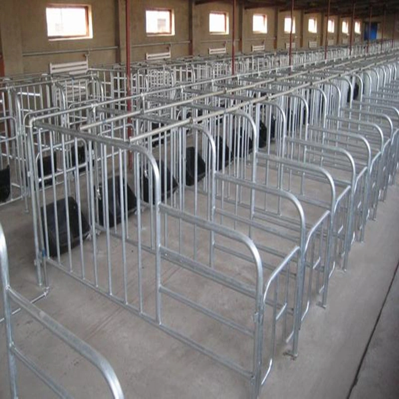 Pig Industry Equipment/Pig Breeding Equipment/ Sow Crate with High quality/High cost performance 