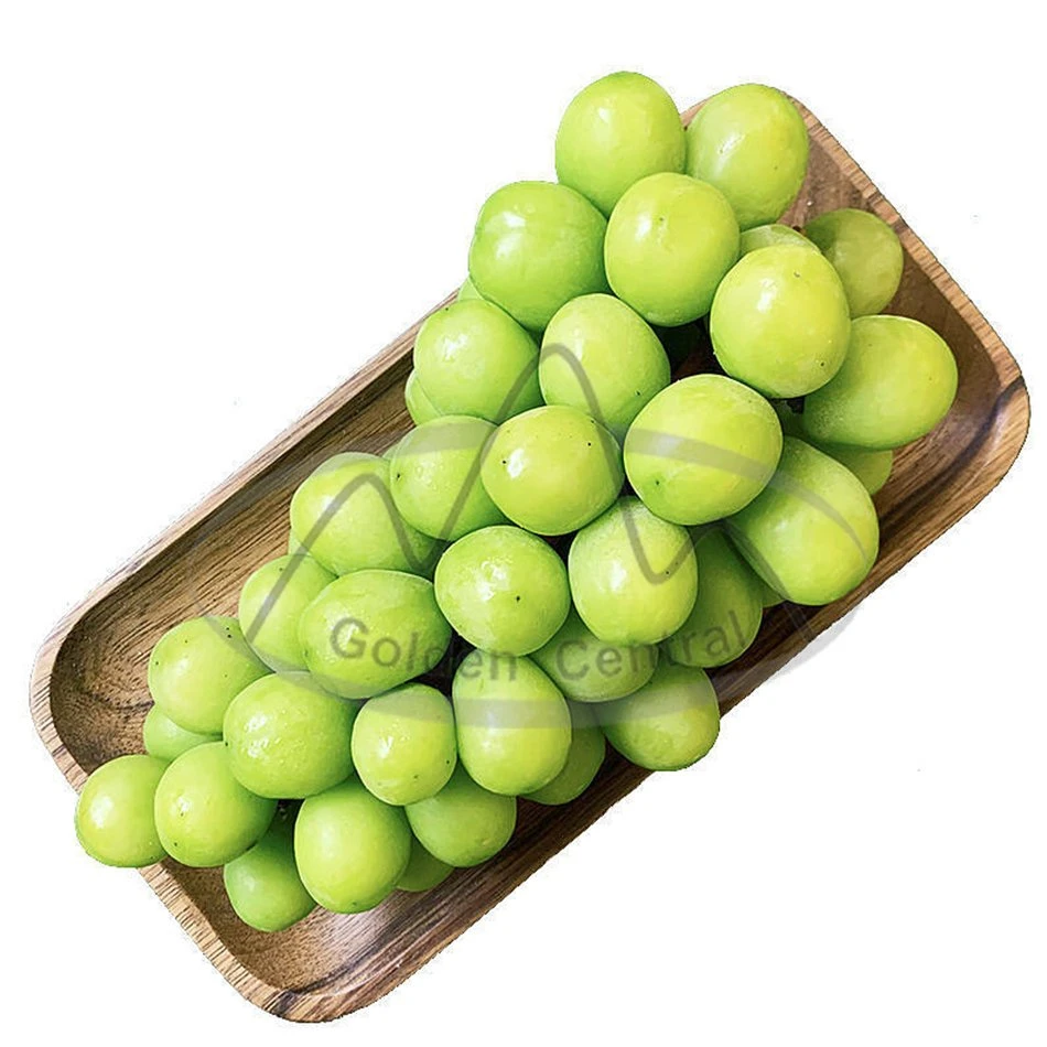 Fresh Great Quality Seedless Green Grapes Shine Muscat Grapes