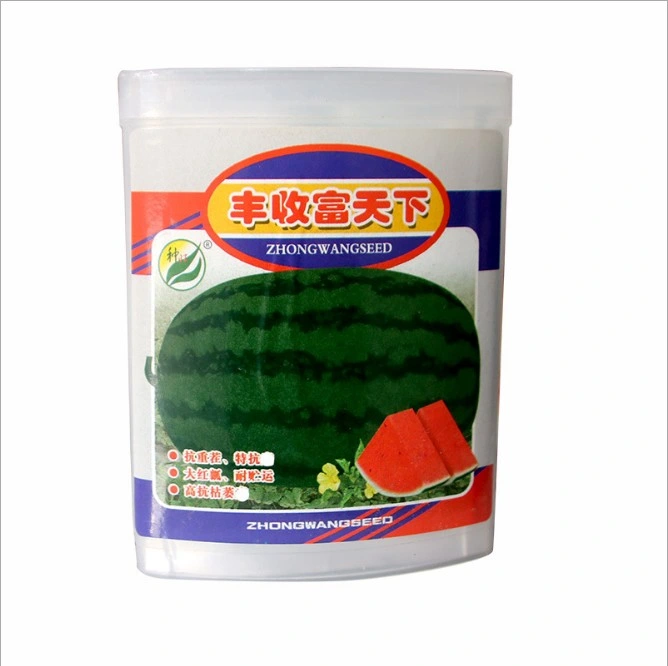 TouchHealthy Supply graines de melon noir/graines de pastèque pour la plantation