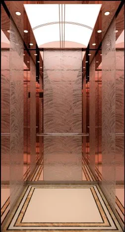 FU JI APSL Square/rectangular/irregular shape lift Passenger Elevator