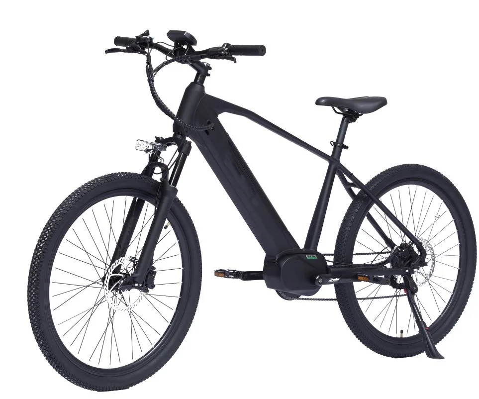 Light-Weight Compact and Practical 36V250W Ebike High Speed Electric 36V12ah SDI Lithium Battery City Ebike