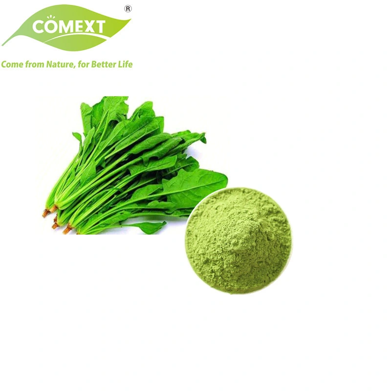 Comext Manufacturer 100% Natural Food and Beverage Organic Vegetable Extract Juice Powder Freeze Dried Spinach Powder