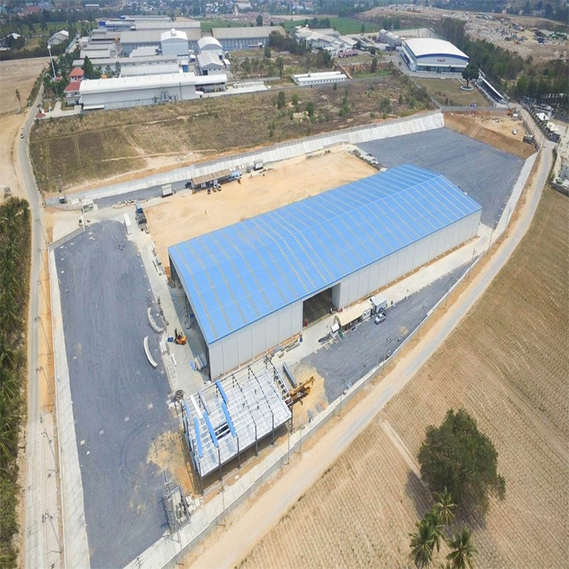 Construcción de edificios de almacenamiento de cemento de estructura de acero