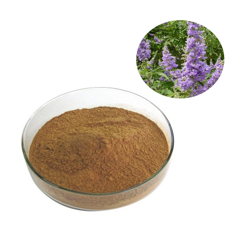 Chasteberry Extract Chaste Tree Berry Extract 10: 1 20: 1 Powder