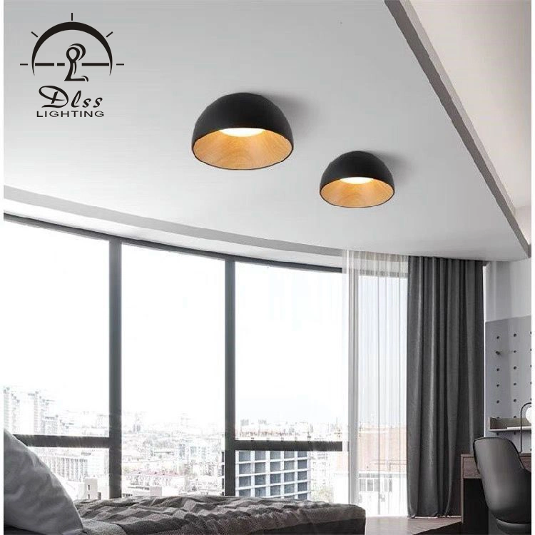 LED Ceiling Lamp Bowl-Shaped Home Decoration Modern LED Light Ceiling Lighting