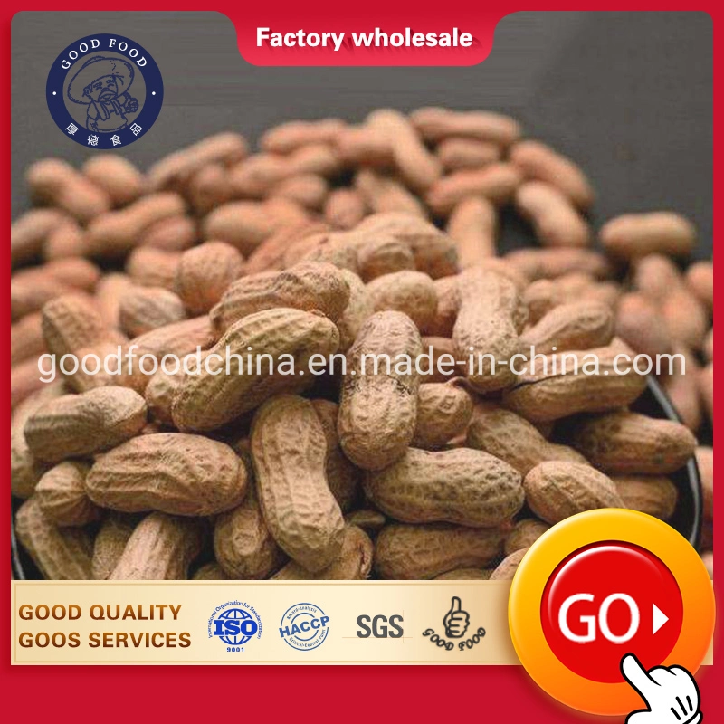 Delicious AA and Food Grade Shelled Peanuts