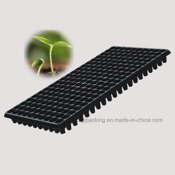 Polystyrene and Plastic Seedling Trays for Nursery Business in Chile