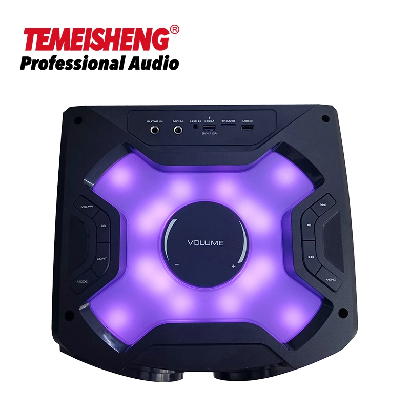 Temeisheng 8 Inch Party Box 100 Watt Professional Portable Wireless Audio Blueotth Speaker with Microphone