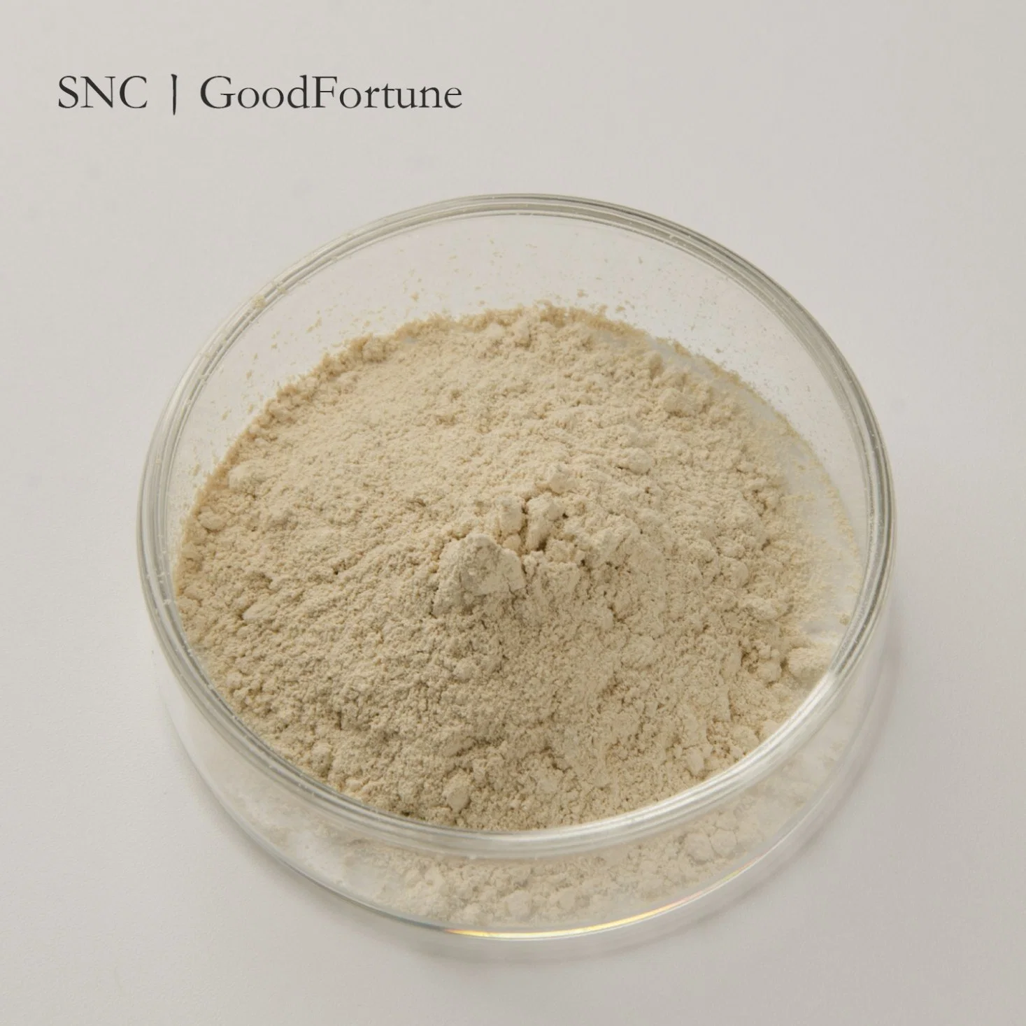 Supply Natural Extract CAS 84929-27-1 Grape Seed Extract