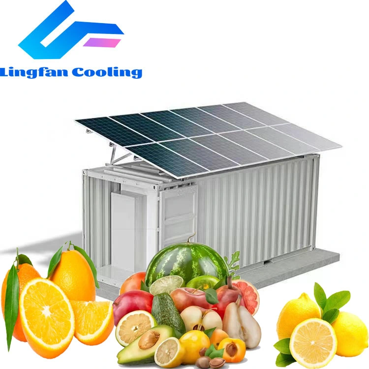 Customized Size 20FT Solar Power Container Freezer Chiller Cold Storage Room