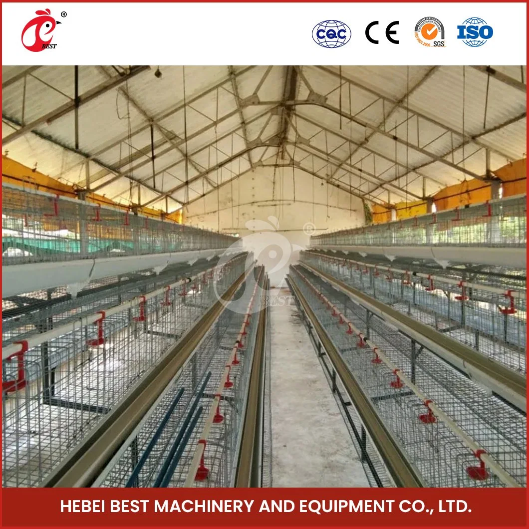 Bestchickencage capa de aves de corral jaulas de la capa de pollo de la China Fabricantes Características de los inodoros jaulas de aves de corral para pollos de capa