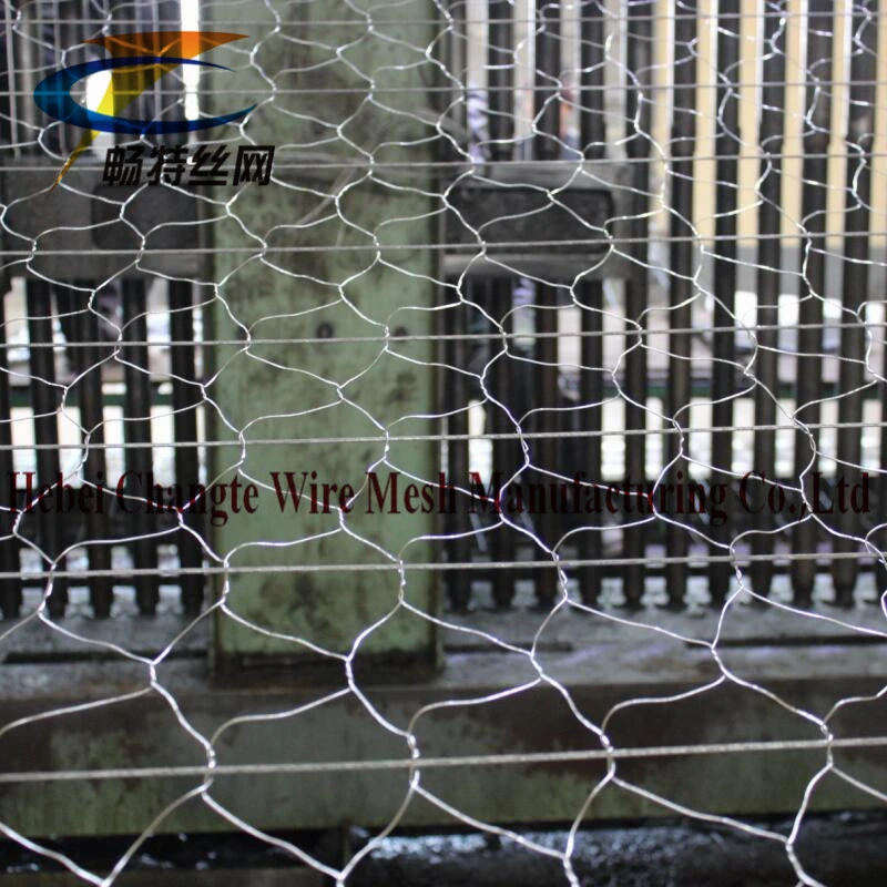 PVC Coated Galvanized Hexagonal Wire Netting for River Channel