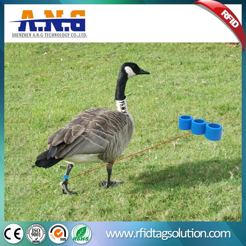 134.2kHz ABS RFID Animal Foot Band Tag for Poultry Management