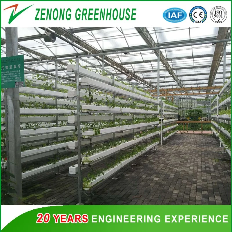 Multispan PC Greenhouse with Hydroponics Equipment for Soiless Cultivation