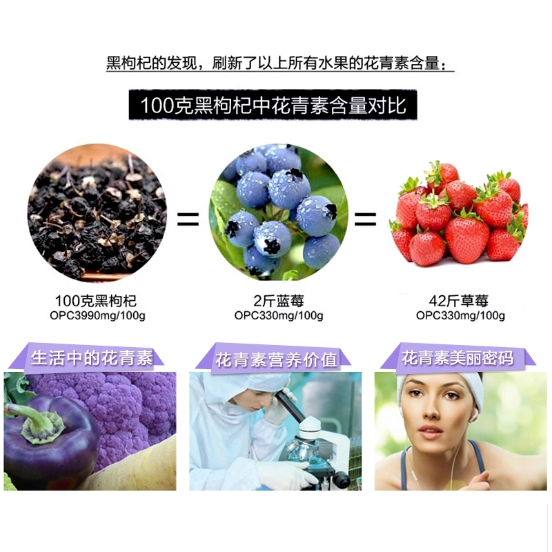 El té de la salud Heigouqi negro seco Lycium Chinensis Mayorista/Proveedor de Frutas Wolfberry negro