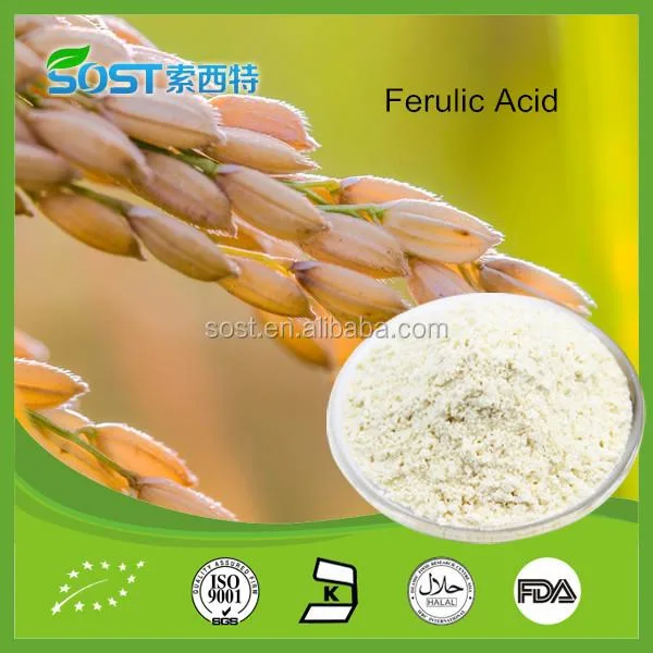 Best selling and factory supply rice bran extract with competitive price