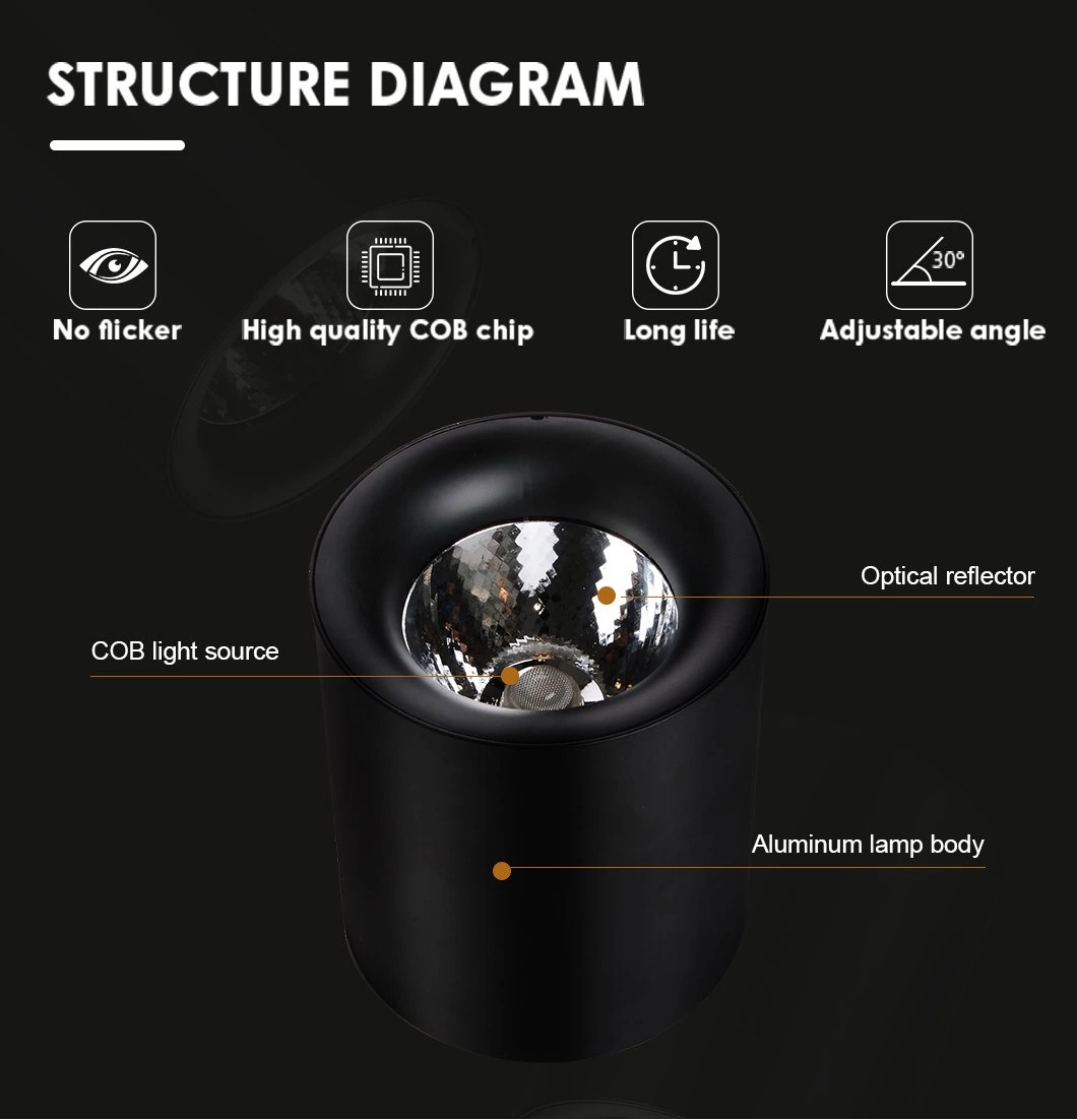 Haute puissance, éclairage intérieur de l'aluminium Downlight LED montées en surface de plafond 30W Spotlight