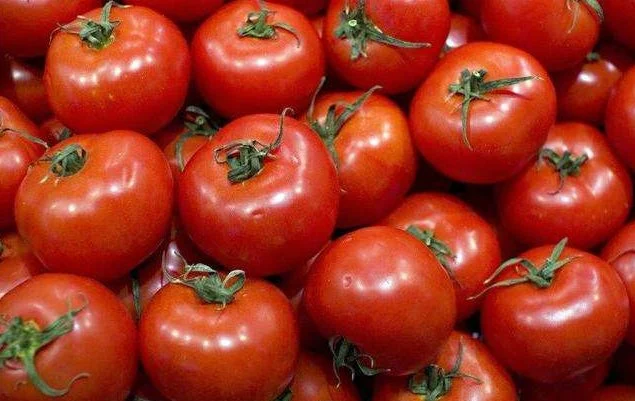 High quality/High cost performance Healthy Red Tomato Seed Vegetable Seeds