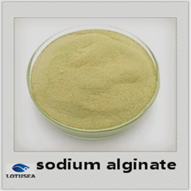 200mesh Industrial Sodium Alginate 2000cps for Textile Grade