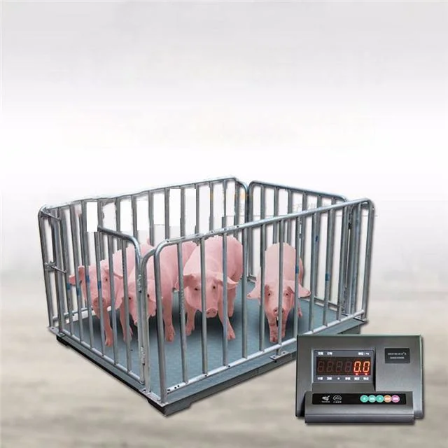 High Accuacy 1000kg Digital Cattle Livestock Weighing Scale for Pig