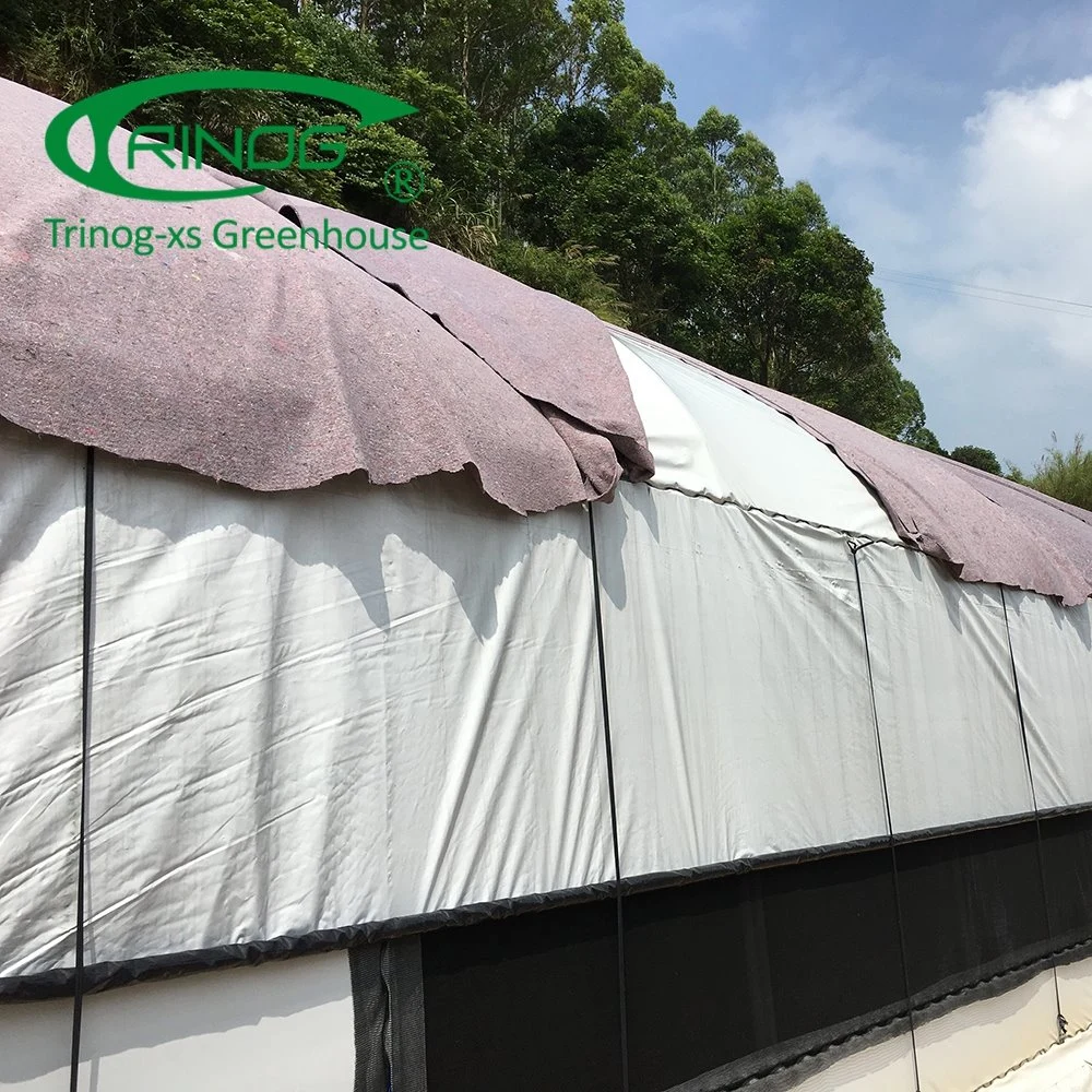 Trinog Greenhouse Snow load strong blackout light deprivation greenhouse for medical herb plant