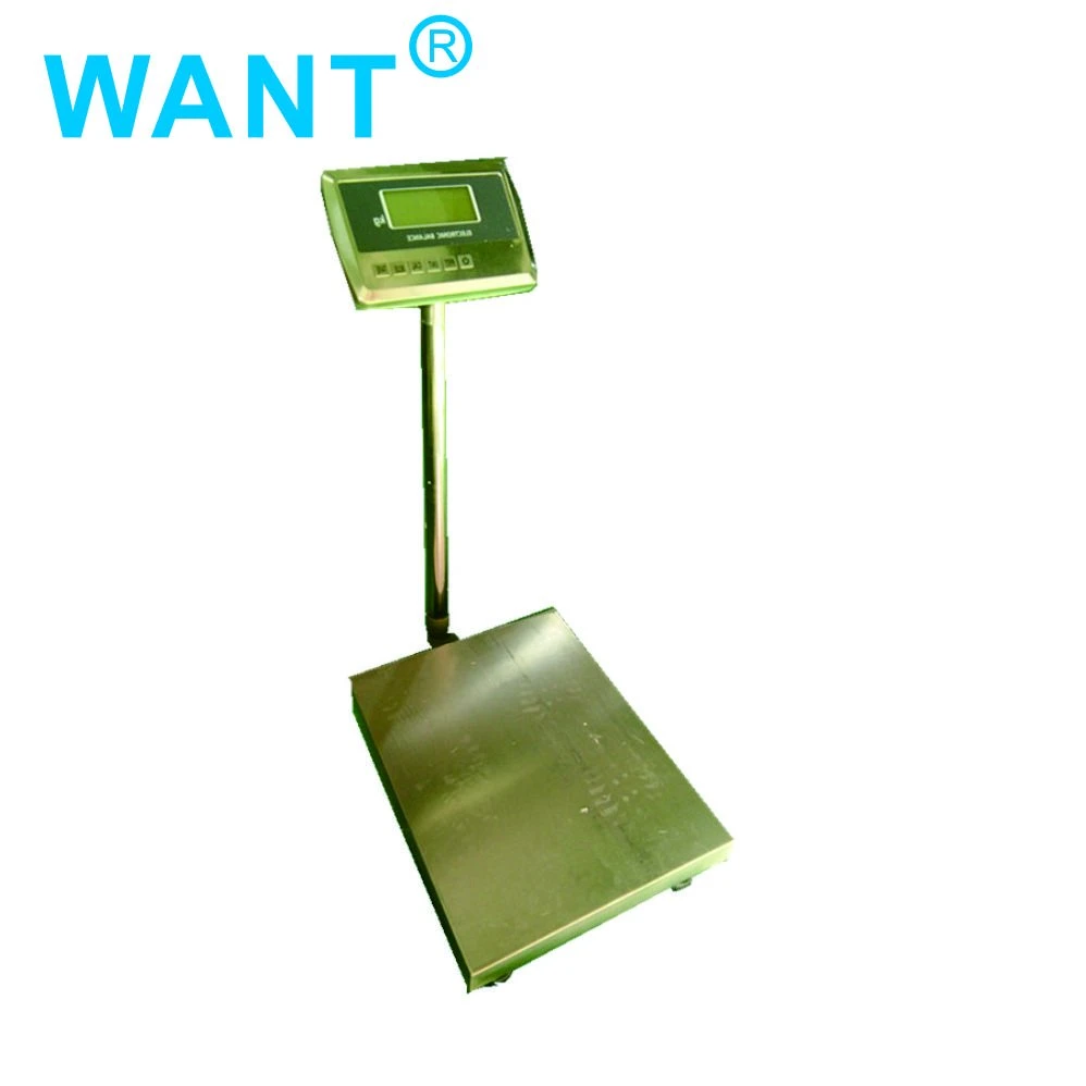 100g Accuracy and AC/DC Power Supply Platform Weighing Scale