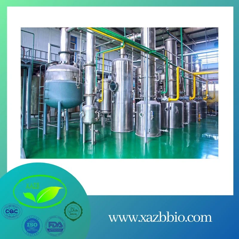 Xazb Manufacturer Wholesale/Supplier Food Grade Pumpkin Seed Protein Powder